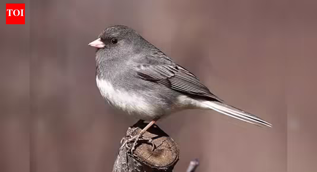 1768561364 photo.jpg