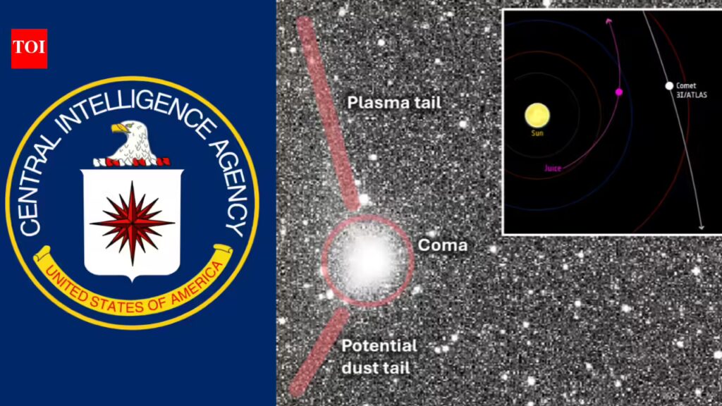 1768570607 photo.jpg