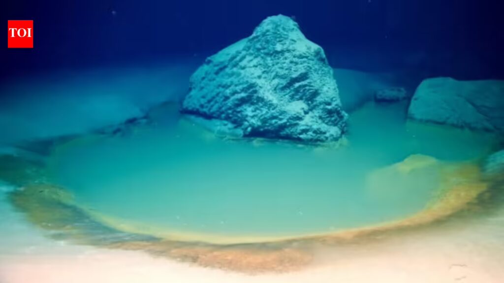 1768579786 photo.jpg