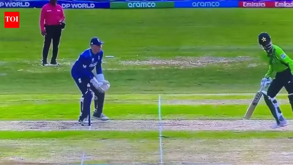 1768621230 photo.jpg