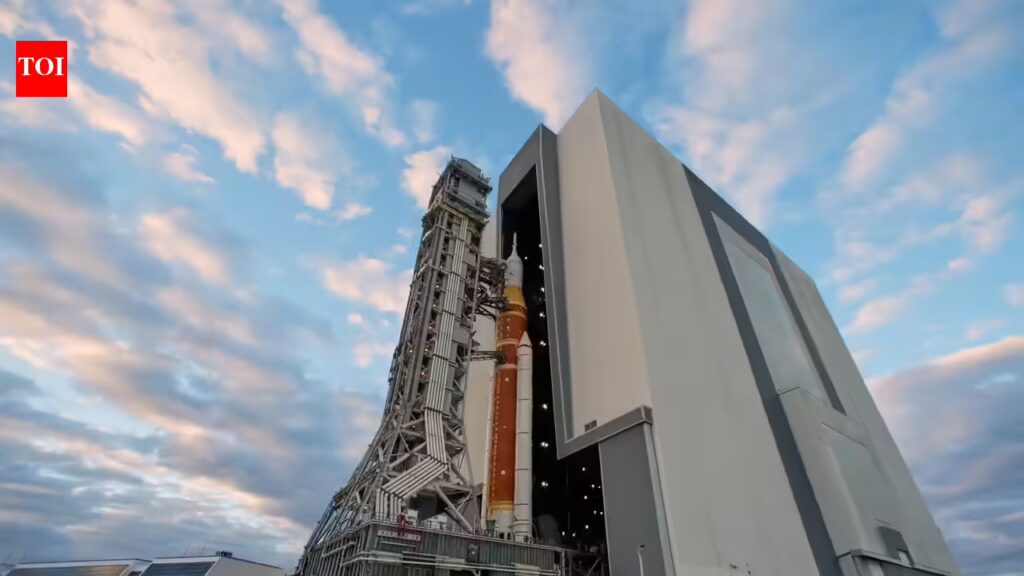 1768663073 photo.jpg