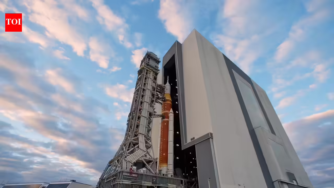 1768663073 photo.jpg