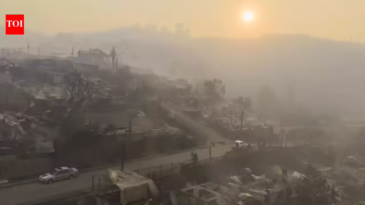 1768763846 photo.jpg