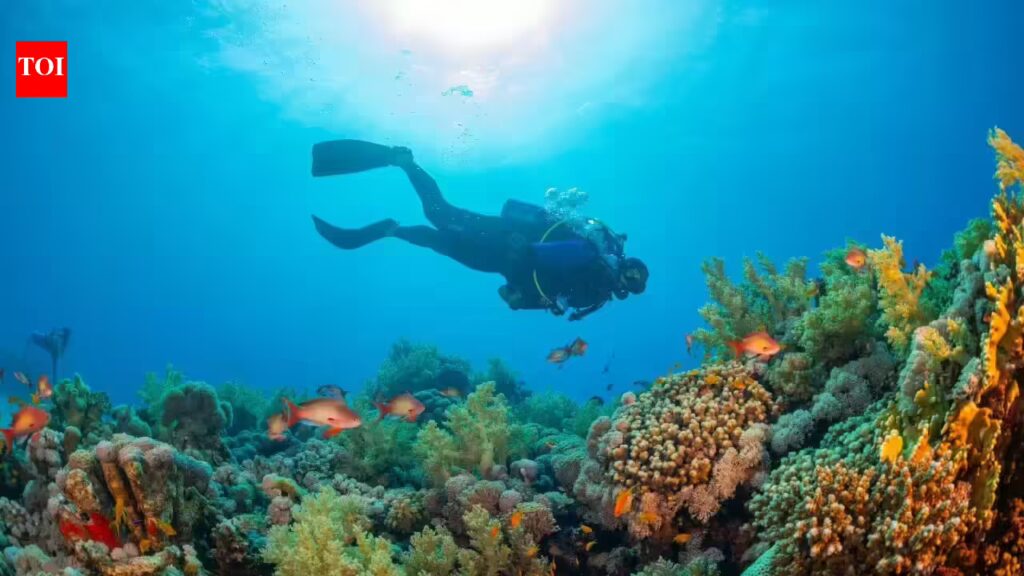 1768839724 photo.jpg