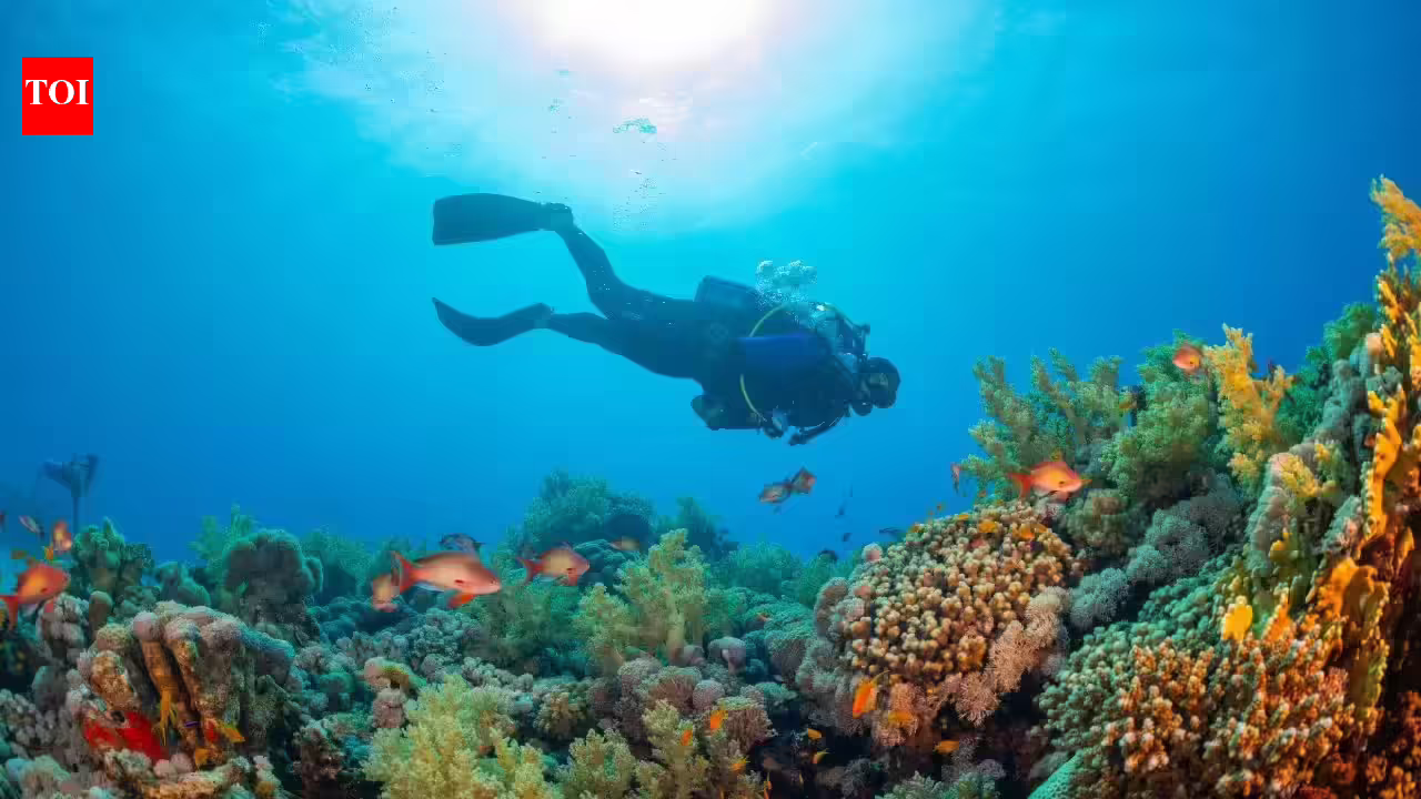 1768839724 photo.jpg