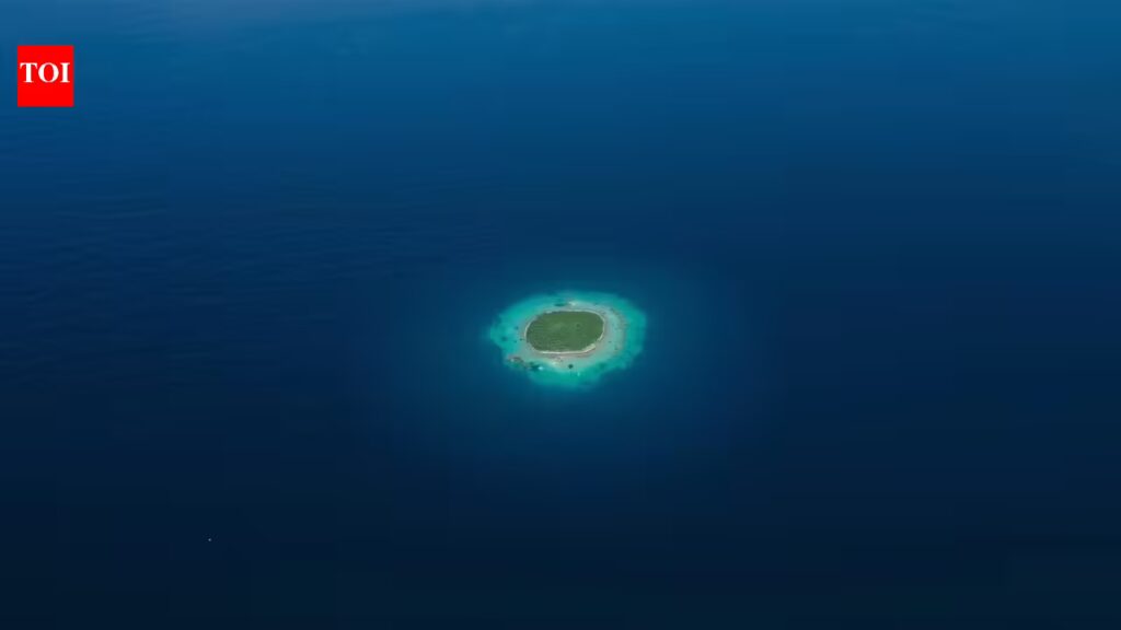 1768968723 photo.jpg