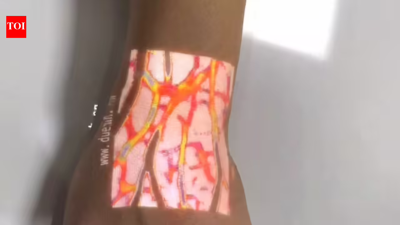 1769146303 photo.jpg