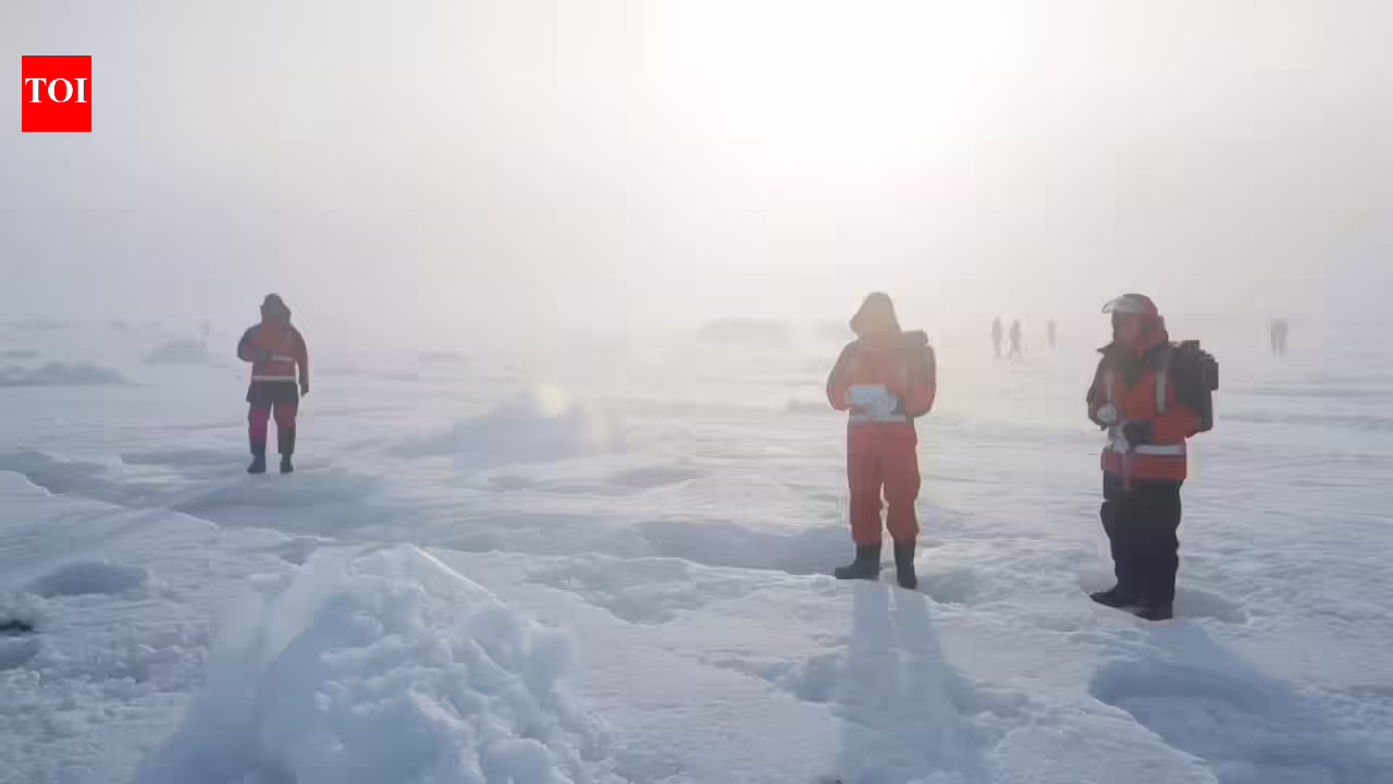 1769174090 photo.jpg