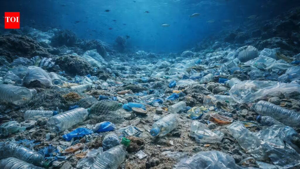 The ocean floor is turning into the world’s biggest plastic dump site killing hundreds of underwater species | 1 1769199485 photo.jpg