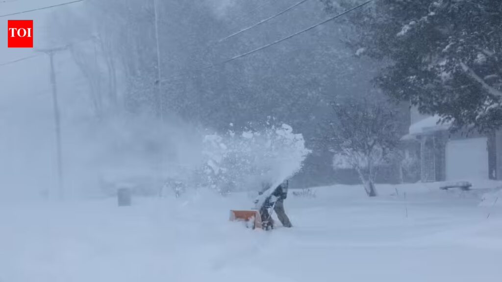 1769259964 photo.jpg