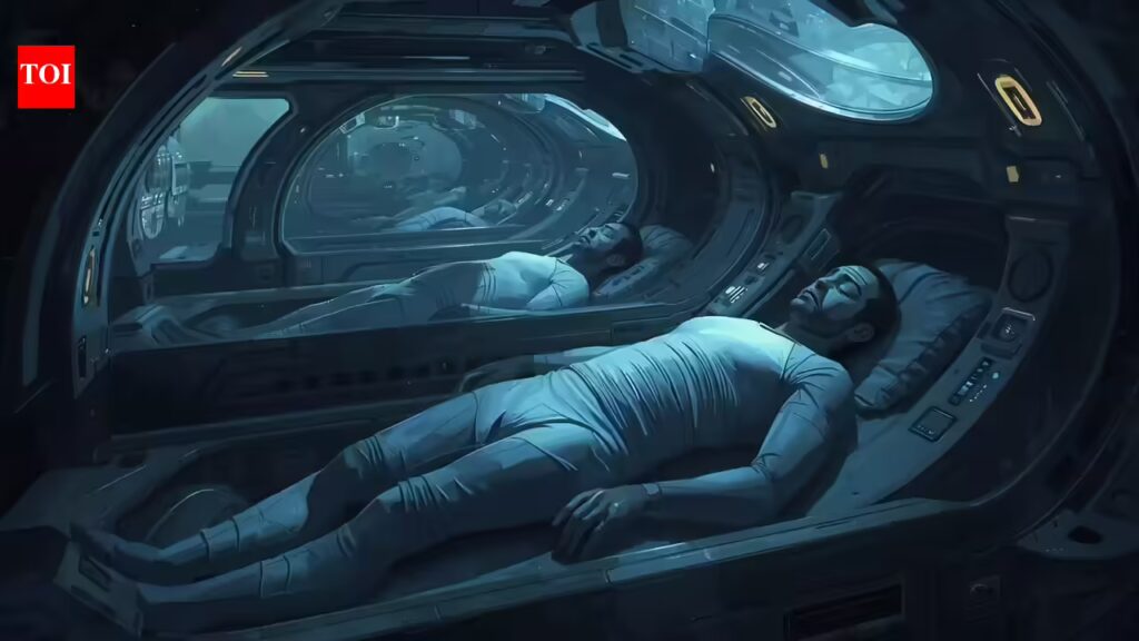 1769324528 photo.jpg