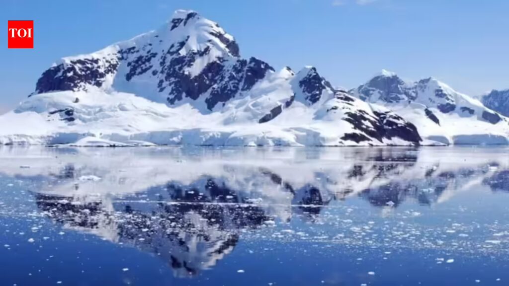 1769352131 photo.jpg