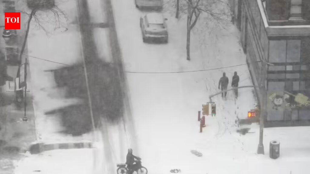 1769373002 photo.jpg