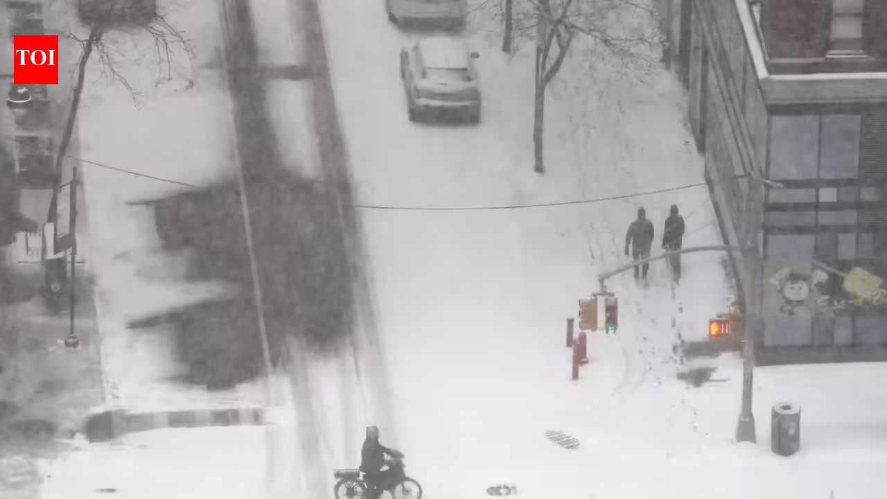 1769373002 photo.jpg