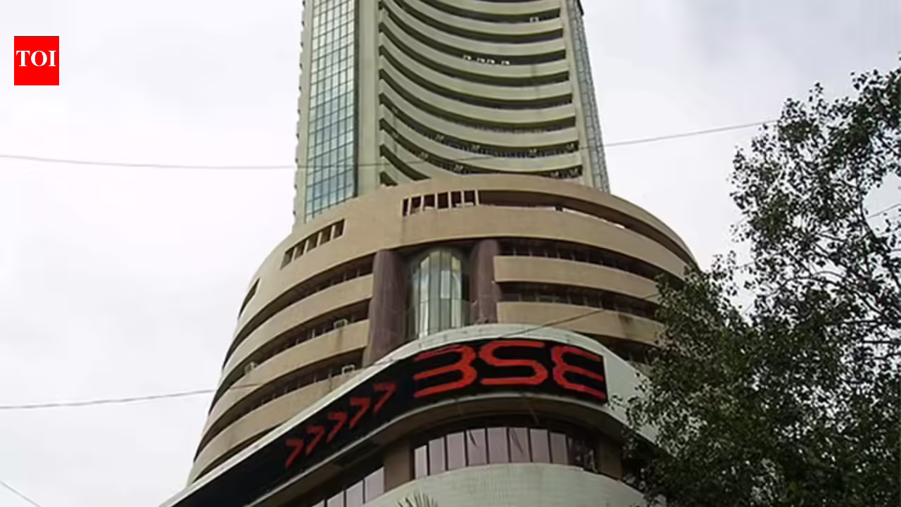 1769390535 photo.jpg