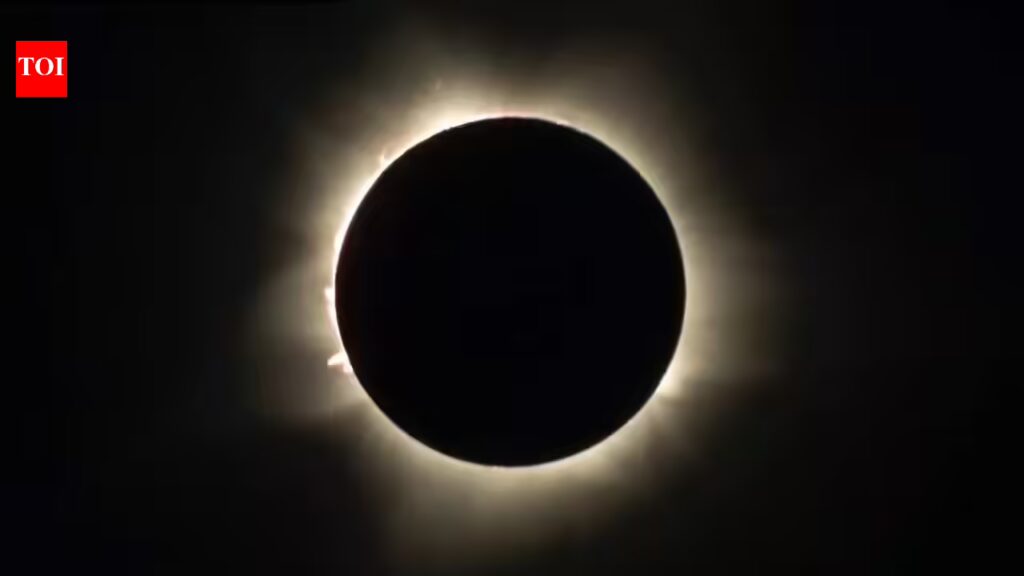 1769490888 photo.jpg