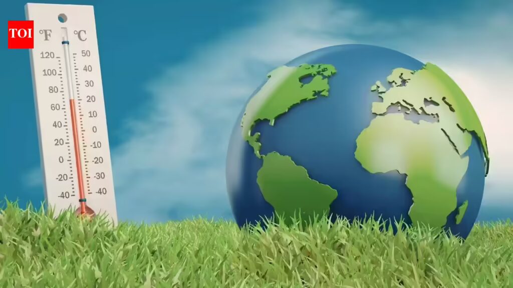 1769537201 photo.jpg