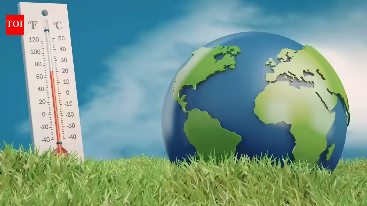 1769537201 photo.jpg