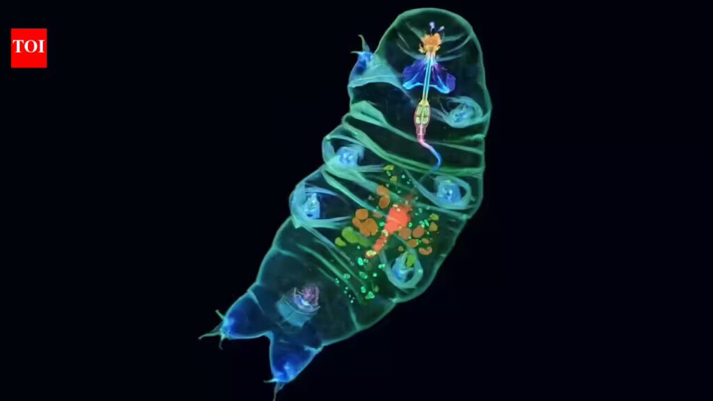 These tiny “water bears” are going to space and scientists think they could change space travel | 1 1769689399 photo.jpg