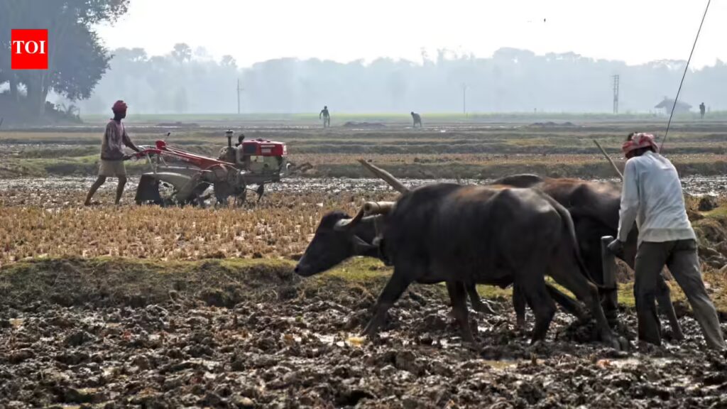 Union Budget 2026: Economists outline growth priorities, expect focus on jobs, farmers, MSMEs 1 1769863154 photo.jpg