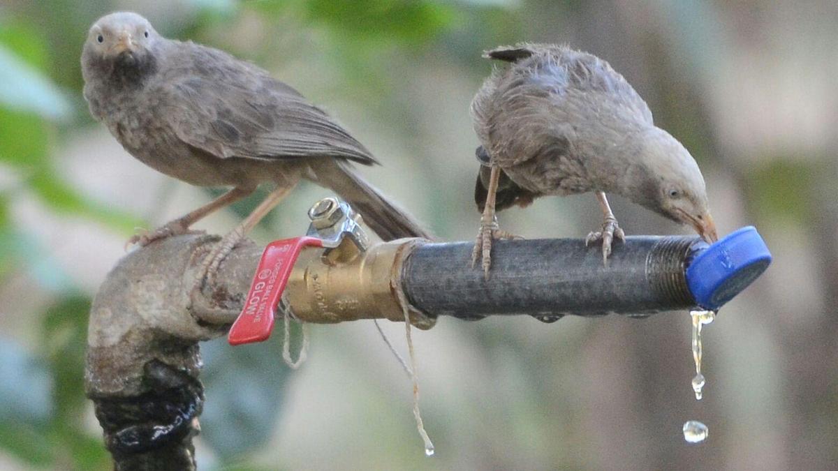 2248 20 5 2017 18 8 13 20170520 175434