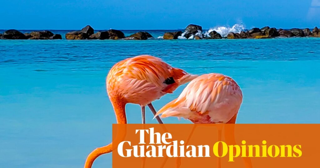 Nine scientific breakthroughs I’d like to see in 2026 – from earworms to procrastination | Emma Beddington 1 2942.jpg