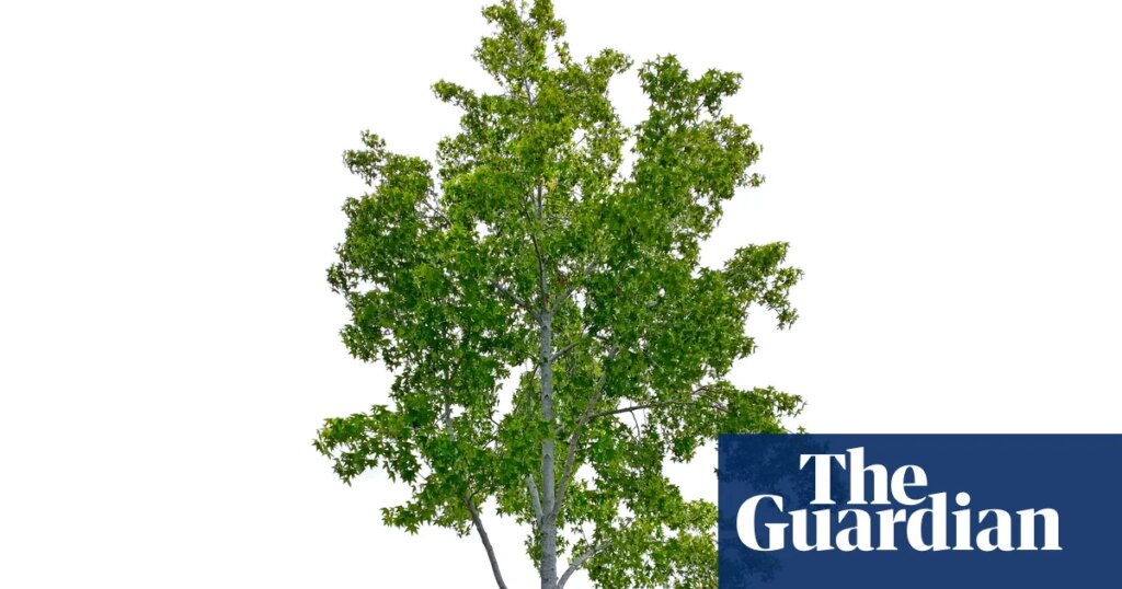 The secret to being happy in 2026? It’s far, far simpler than you think … | New year 1 6163