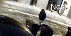 Ohio couple found dead inside home; Authorities release video of person of interest 1 74e4aa6b20b880f7cb96d121fd9cf082.jpeg