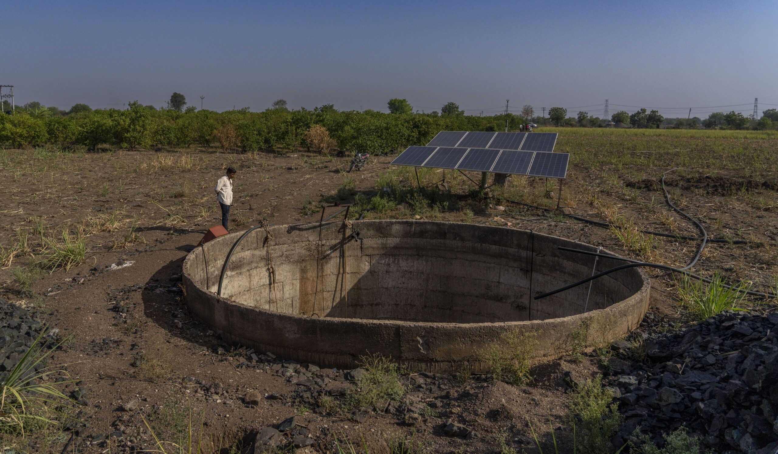 AP24173849816545 crop scaled.jpg