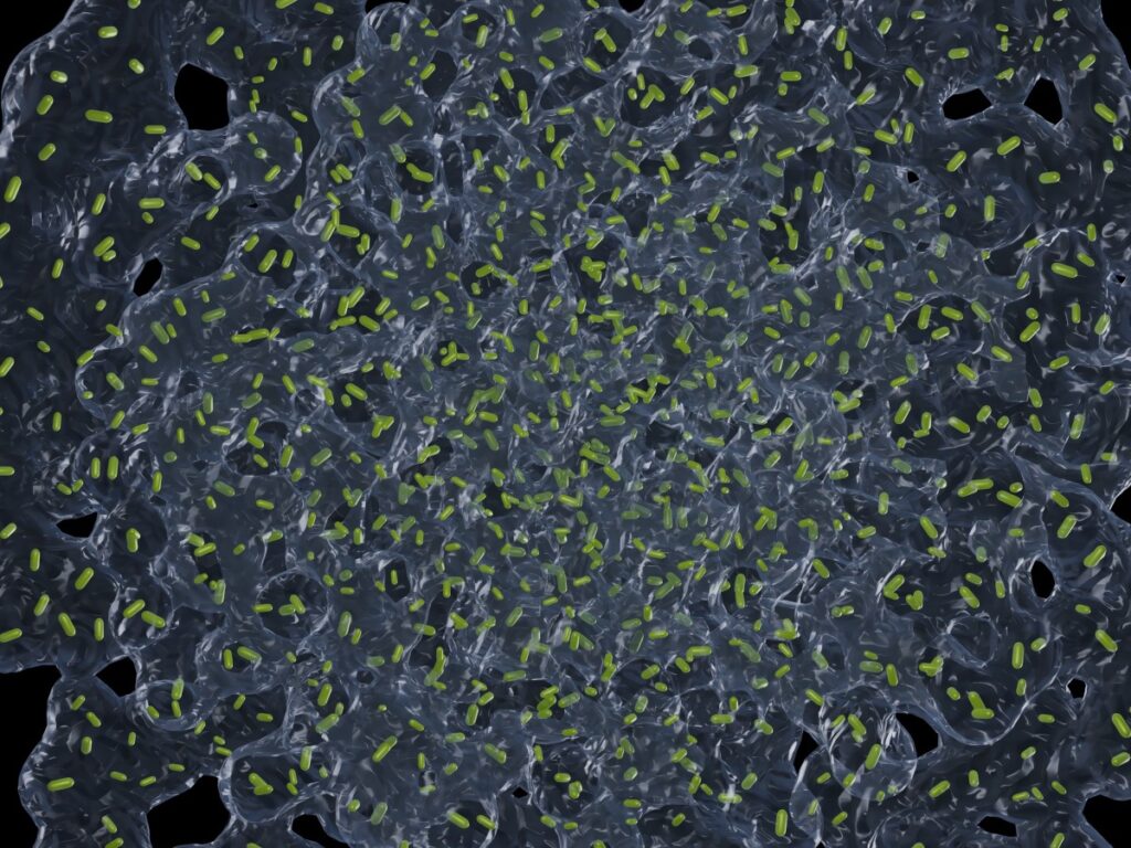 UCD, Maynooth scientists lead study into biofilm behaviour in space 1 Biofilm.jpeg