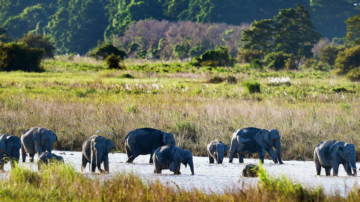 IMG 2150 11 9 2021 14 47 2 1 TCALGLJA