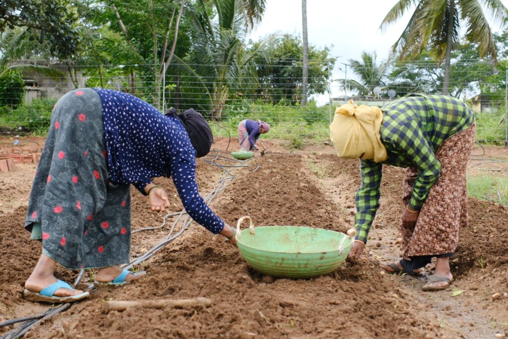 Centring women in climate-resilient farming 4 Seed Sowing in Kai Thota Image Courtesy Kai Thota1 scaled.jpg
