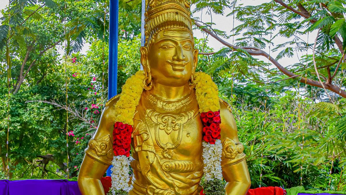 WhatsApp20Image202026 01 3120at2013.08.05.jpeg