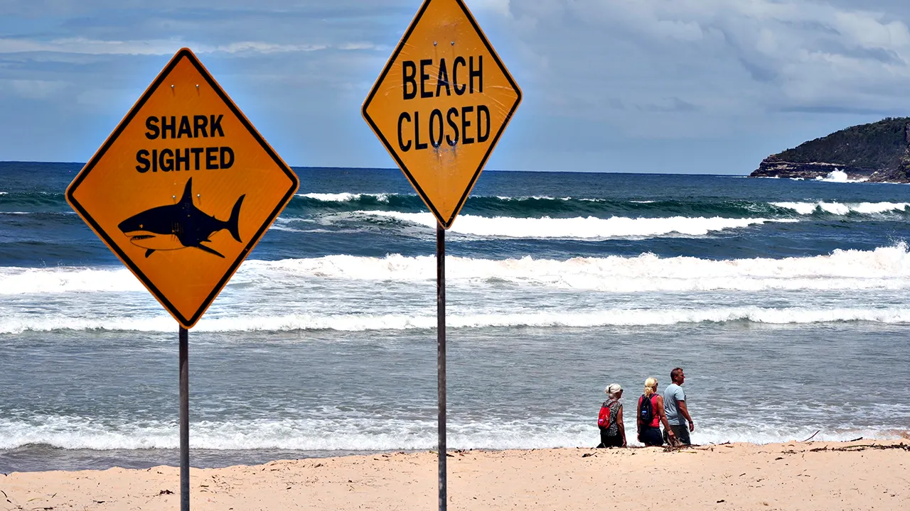 australia shark attack beach signs.jpg