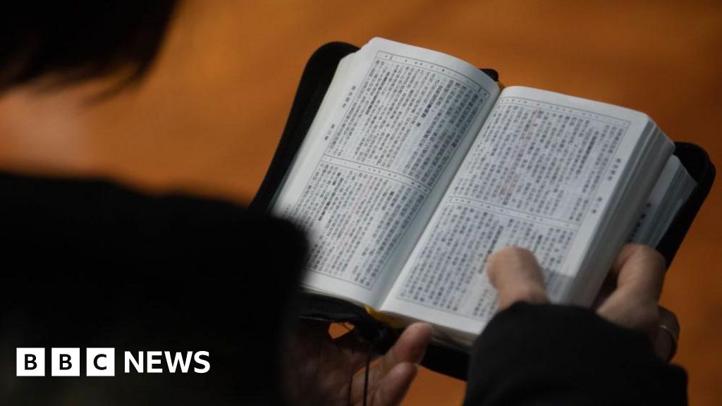 b99f9550 ec69 11f0 9ce3 0774ae46fe08.jpg