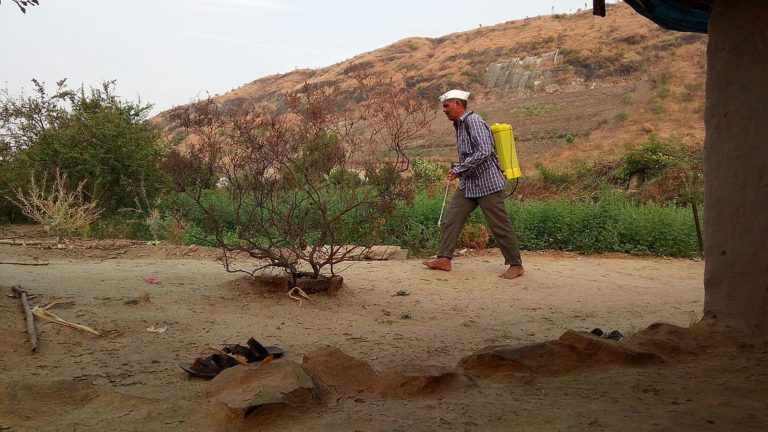 pesticides e1537987010103.jpg