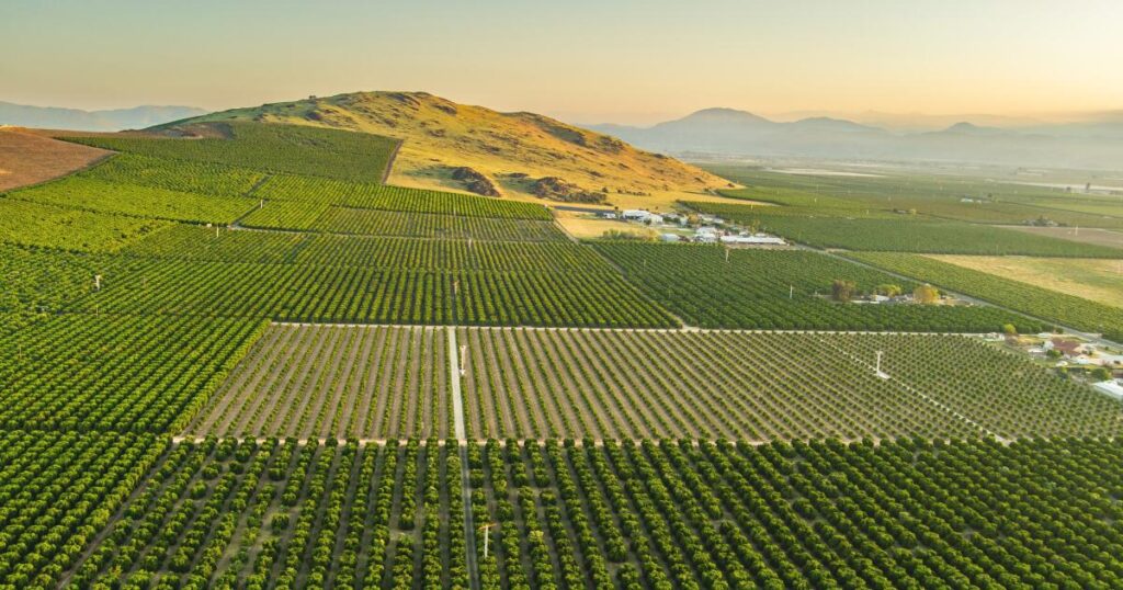 urlhttps3A2F2Fcalifornia times brightspot.s3.amazonaws.com2F3d2F2a2Fed8af23b4d9ca3e4768c4458.jpeg