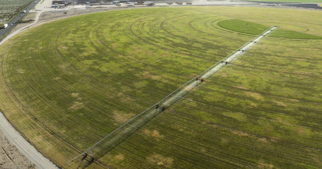 urlhttps3A2F2Fcalifornia times brightspot.s3.amazonaws.com2F592F902F2f6b791c497a8709cc9f3c68.jpeg