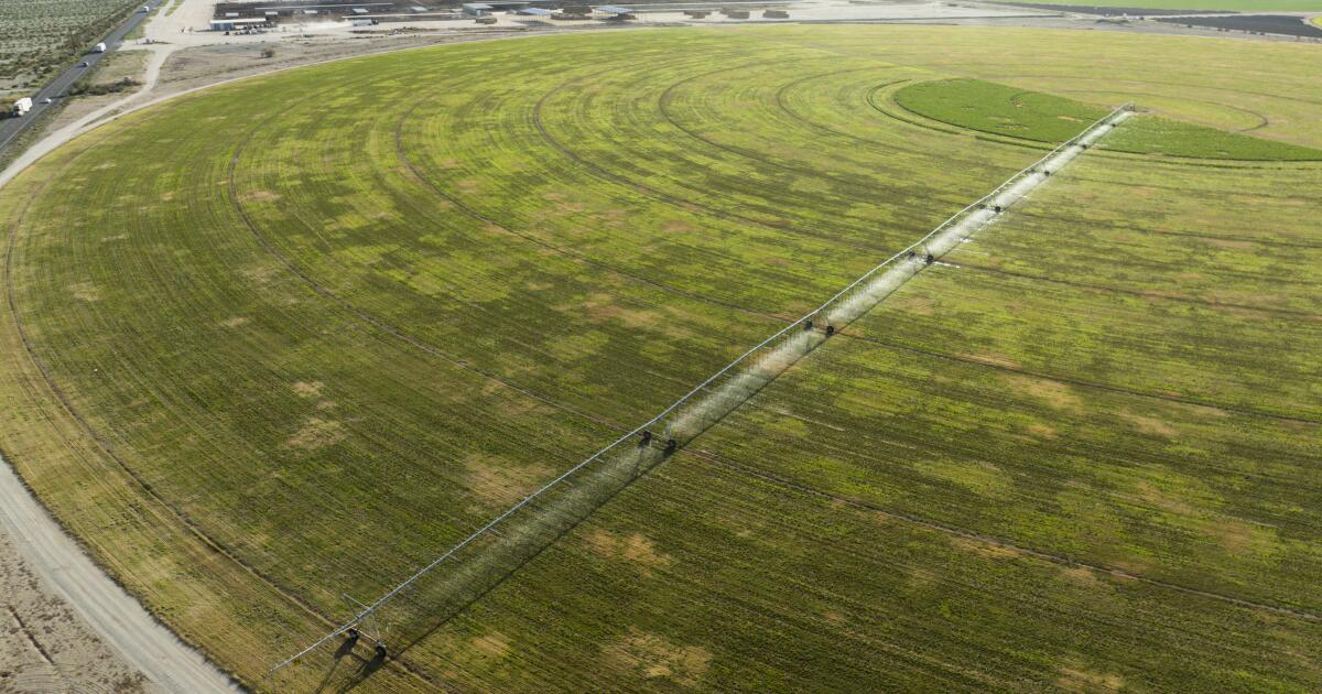 urlhttps3A2F2Fcalifornia times brightspot.s3.amazonaws.com2F592F902F2f6b791c497a8709cc9f3c68.jpeg