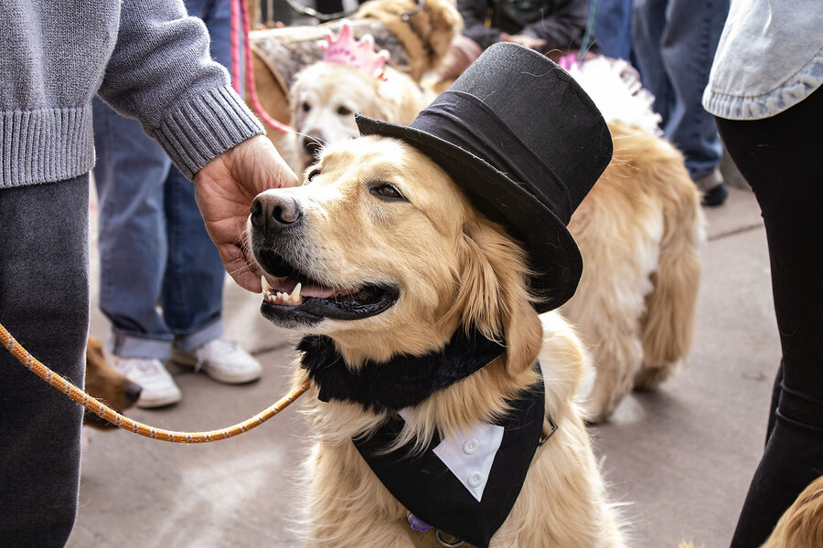 0209 NGOLDEN hat.jpg