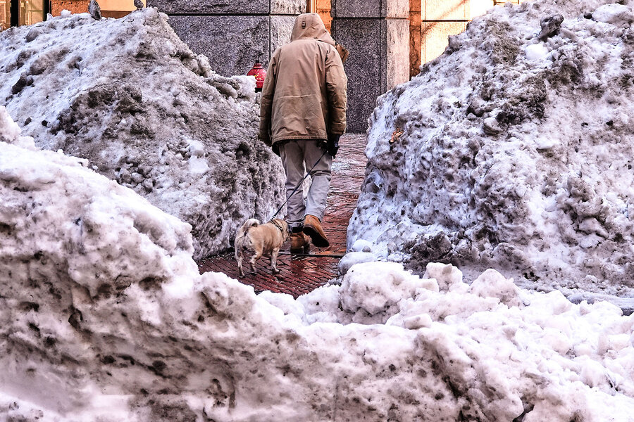 0227 NSNOWFARM lede.jpg