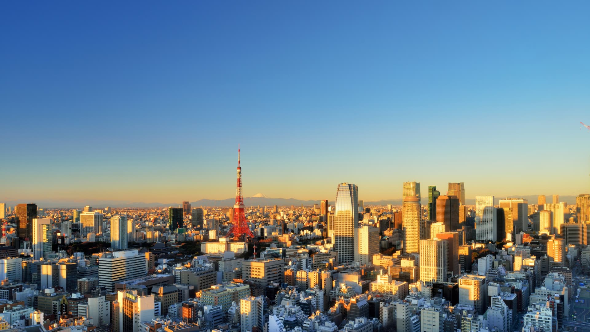 108187771 1755558889825 gettyimages 450411891 0c3780d9 2258 4018 bd3f bb94187c98f7.jpeg