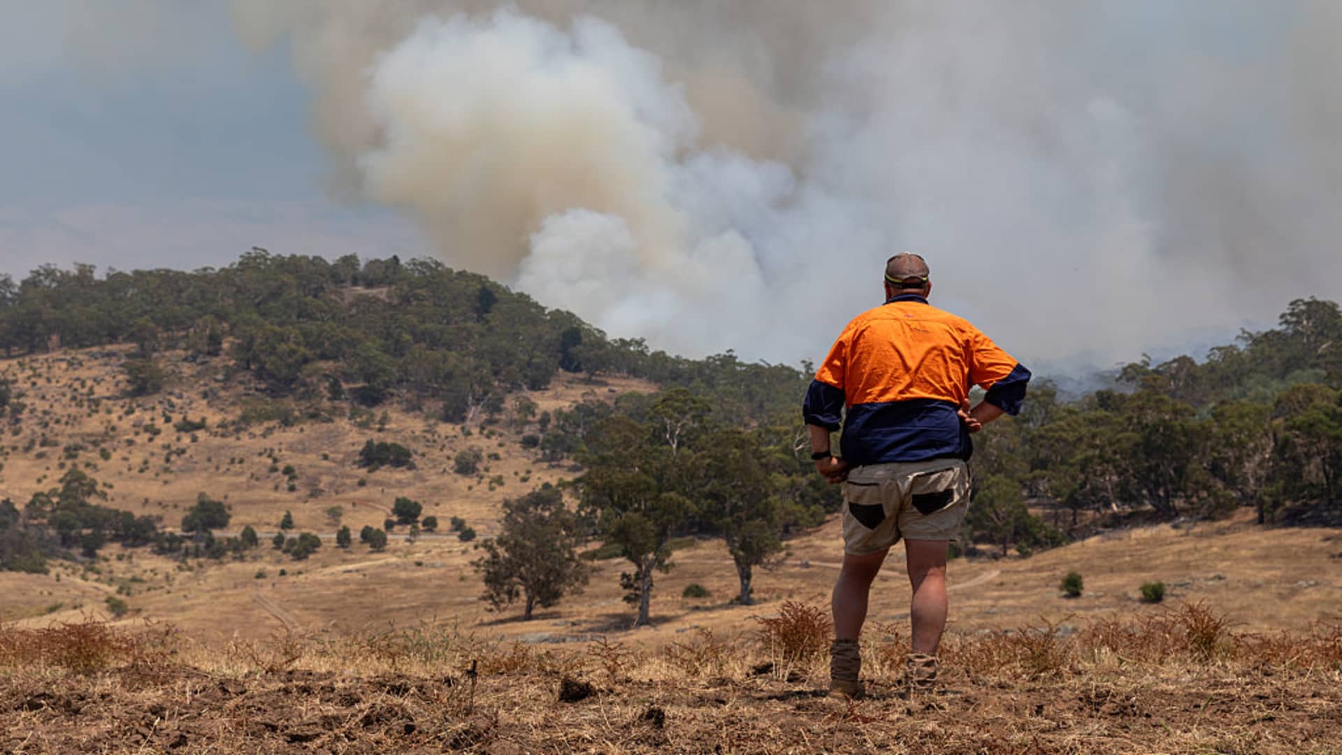 108259190 1769719010043 gettyimages 2255813712 s6a5878 vyndyulv.jpeg