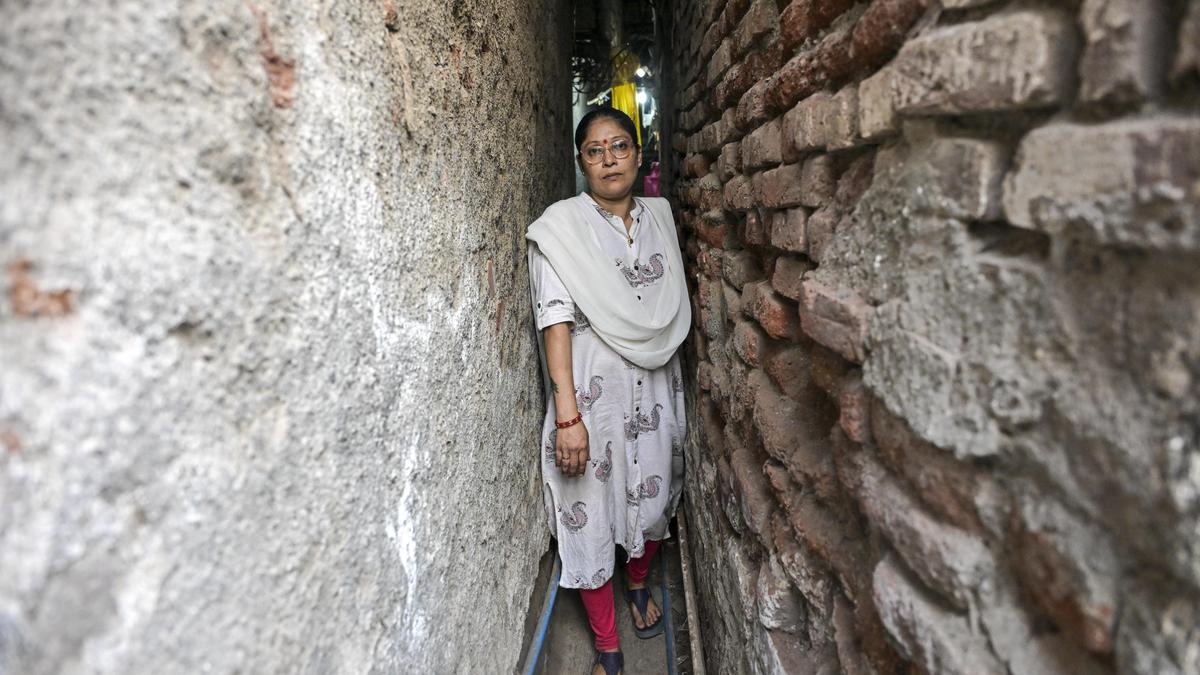 11908 18 2 2026 19 6 49 3 DSC 4461.JPG