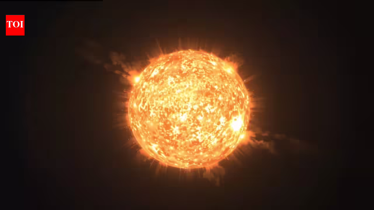 1769950669 photo.jpg