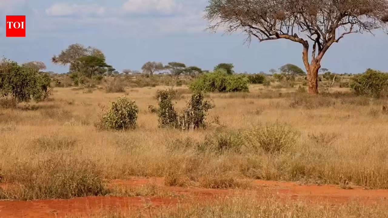 1769985103 photo.jpg