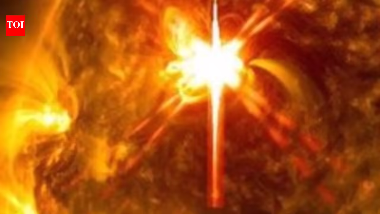 1770127587 photo.jpg