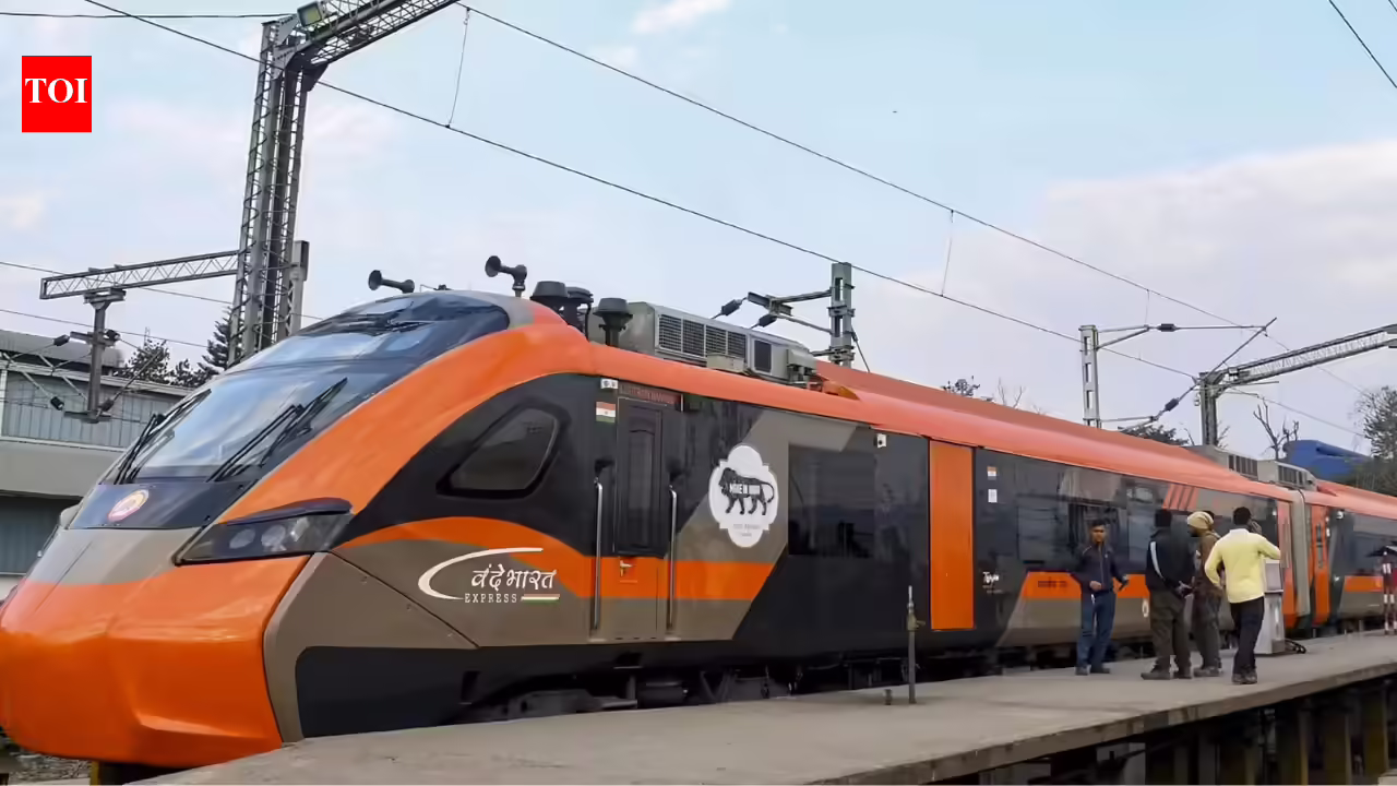 1770214664 photo.jpg