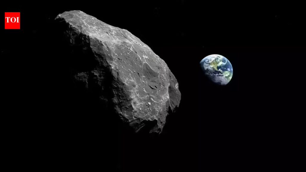 1770295924 photo.jpg