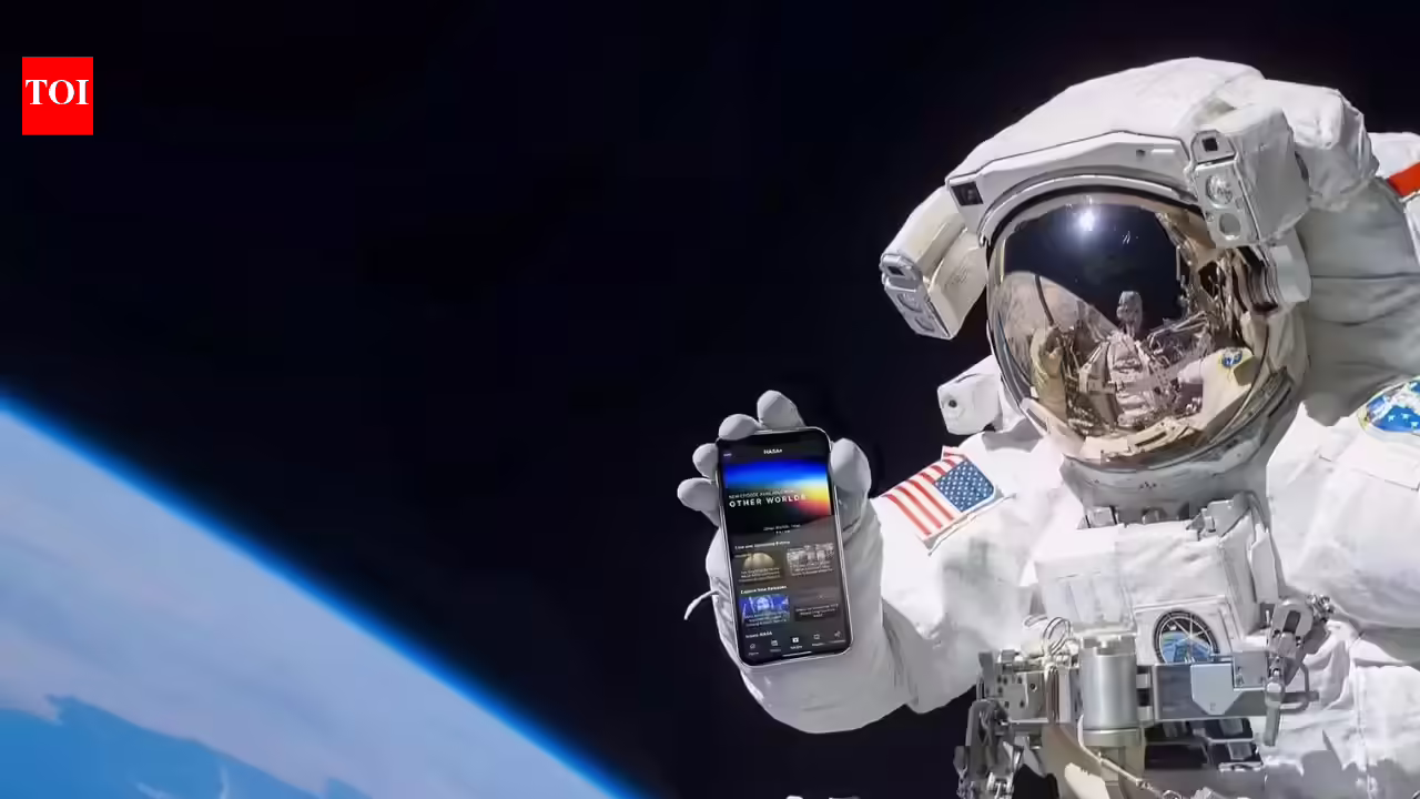 1770367520 photo.jpg